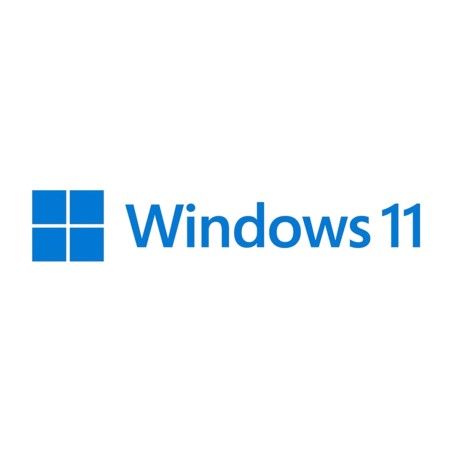 oem license for a professional operating system for pc on dvd windows-11 pro 64-bits