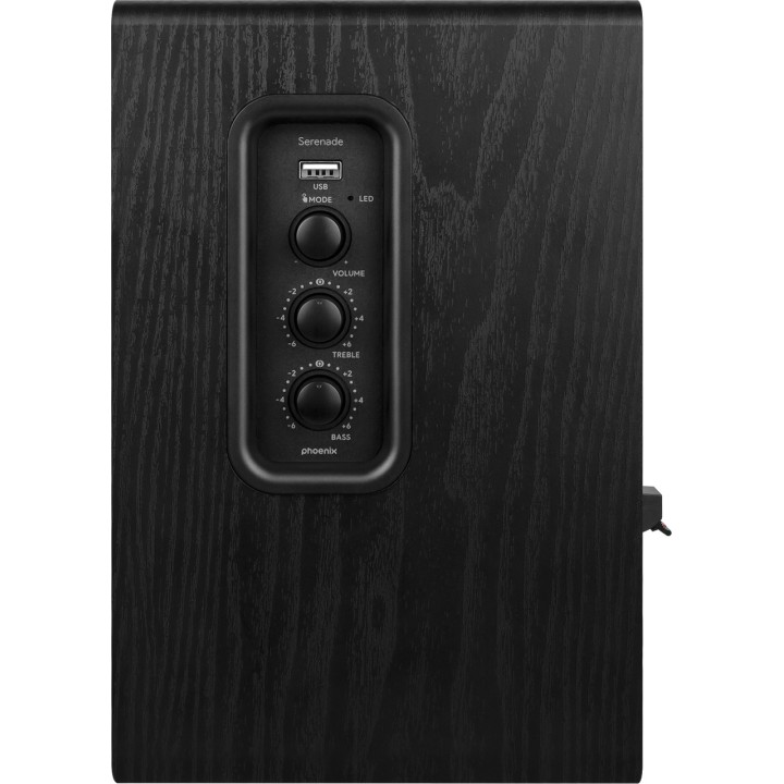 PHOENIX Studiohögtalare i trä för dator med Bluetooth och