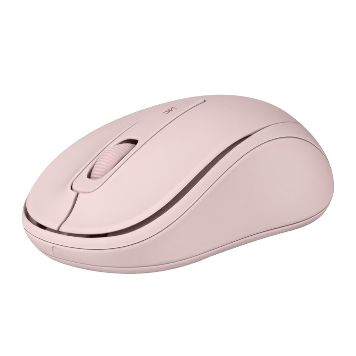 PHOENIX Mouse wireless con ricevitore USB per PC e laptop