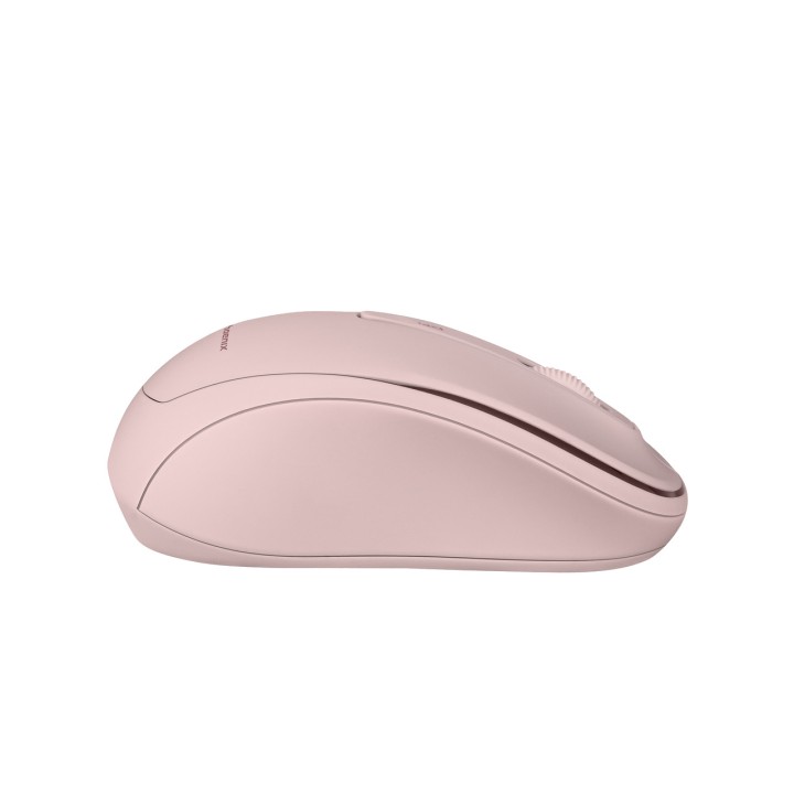 PHOENIX Wireless mouse with USB receiver for PC and laptop