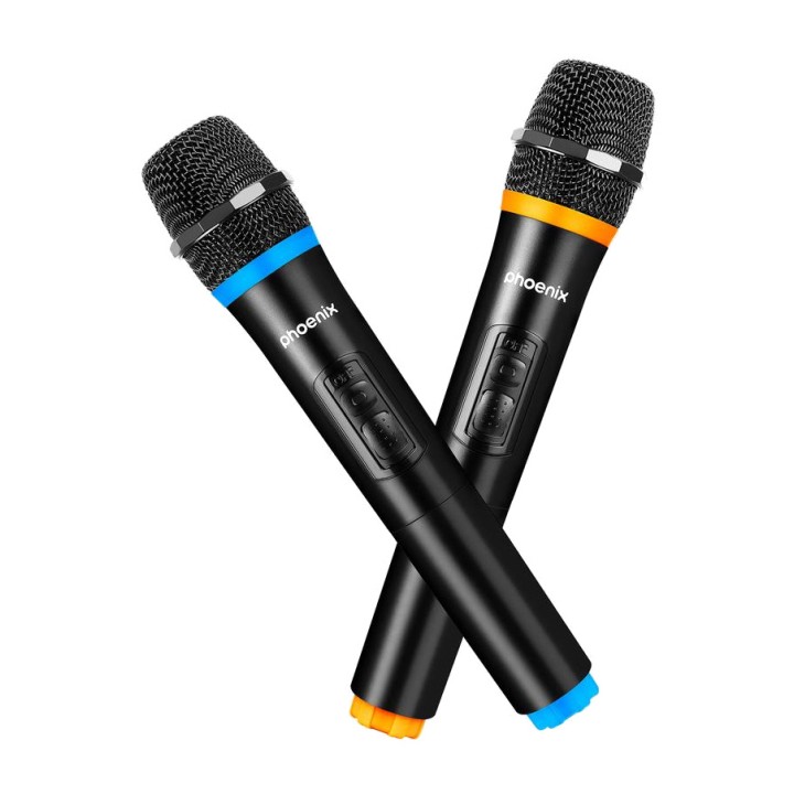 PHOENIX Bærbar Bluetooth-karaokehøjttaler med 2 trådløse