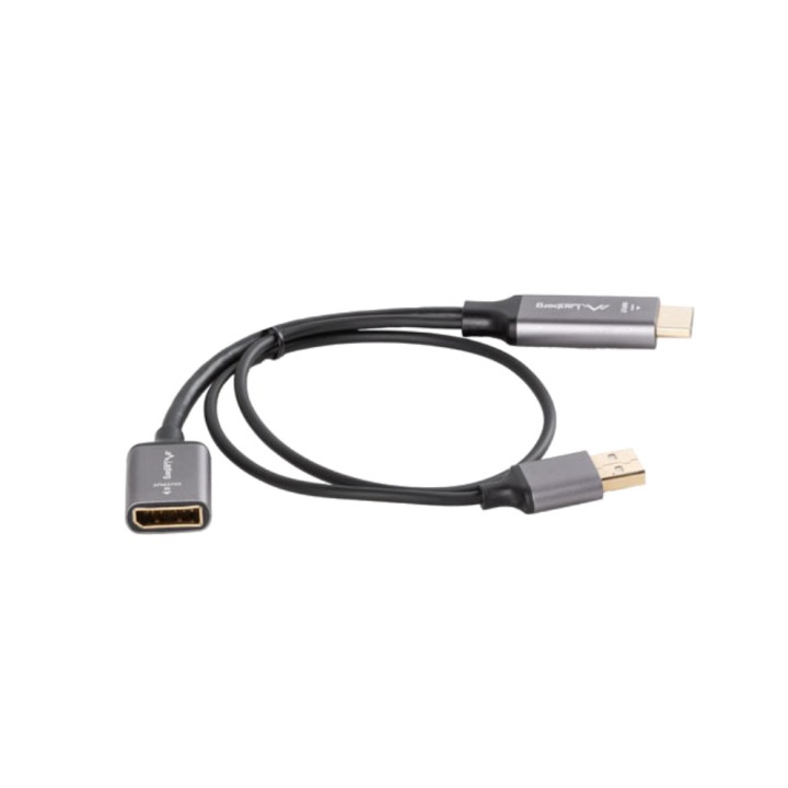 LANBERG Male-to-female video converter with USB power supply