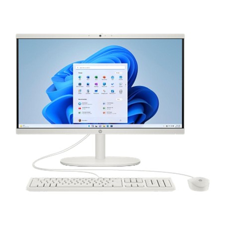 ordinateur tout-en-un avec clavier et souris 22-dg0041ns 21,45" n100 8gb 512gb ssd-w11