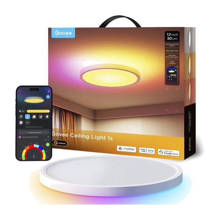 GOVEE Plafón de techo LED inteligente redondo con wifi y Bluetooth RGBWW RGBIC 30 CM H80A1C01 100190369