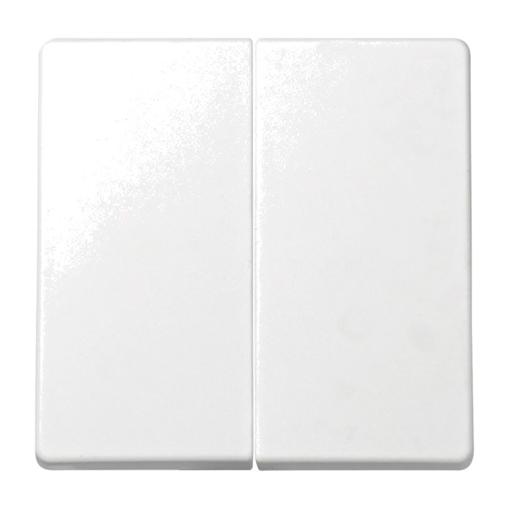 SIMON Double surface-mounted switch 73 LOFT 10 AX 250 V IP20