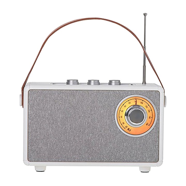 CAMRY Radio FM rechargeable avec Bluetooth CR 1902