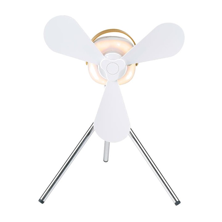 LIFETIME Rechargeable desk fan with light and remote control