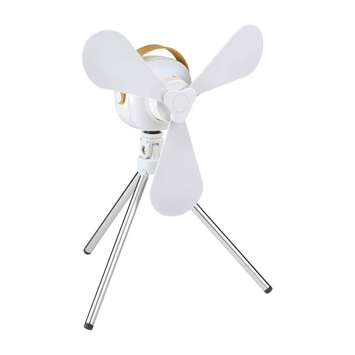 LIFETIME Rechargeable desk fan with light and remote control