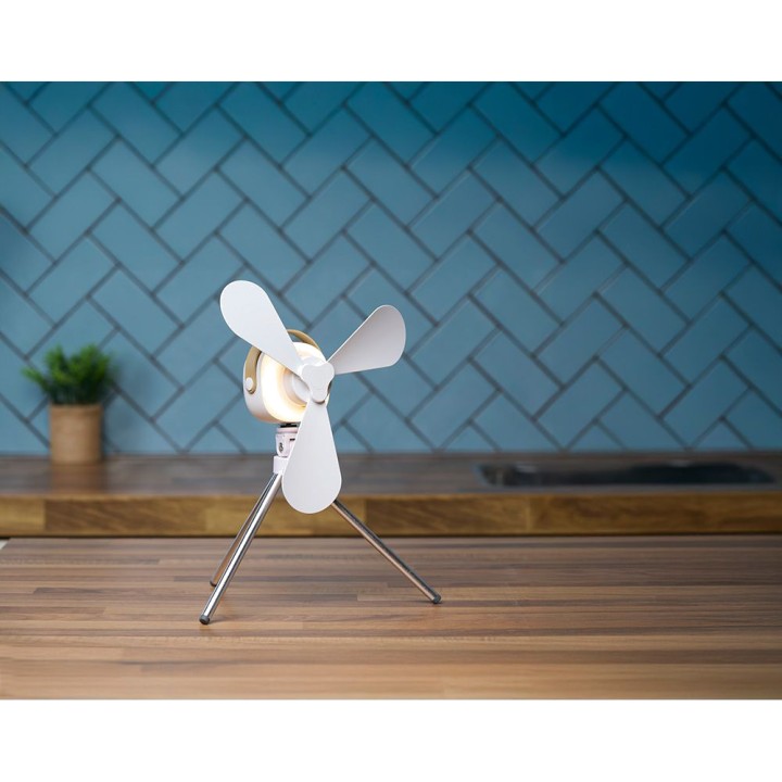 LIFETIME Rechargeable desk fan with light and remote control