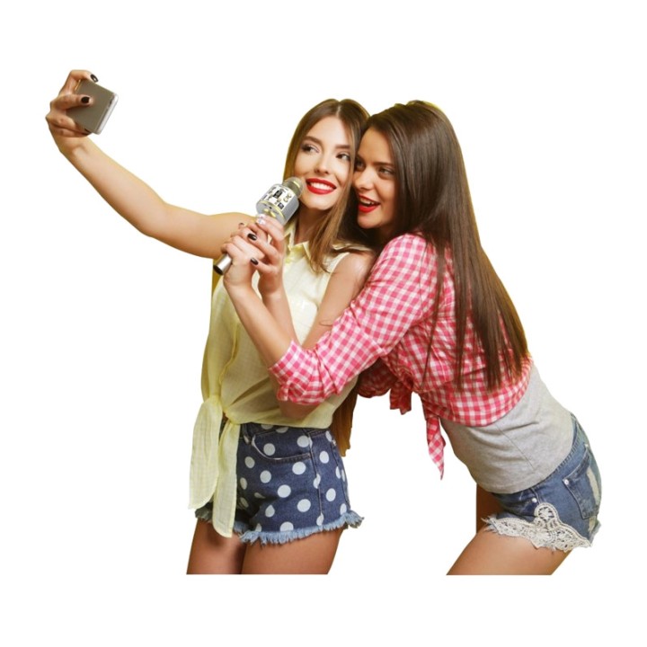 CEFA TOYS 7-in-1 Bluetooth karaoke microphone with
