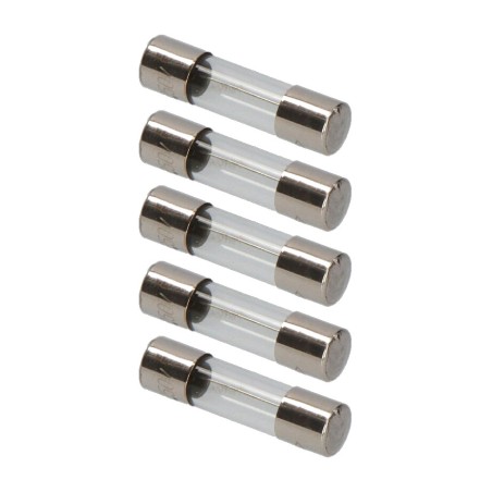 glass or ceramic fuse with blown-fuse indicator 6x24mm 250 v 5 uds