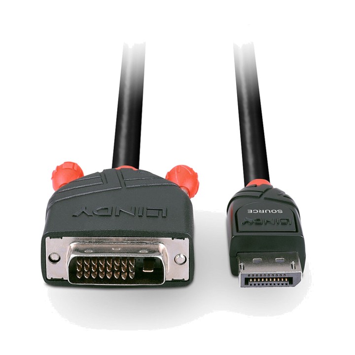 LINDY Video-Adapterkabel DISPLAYPORT-A-DVI-D 2M 41491