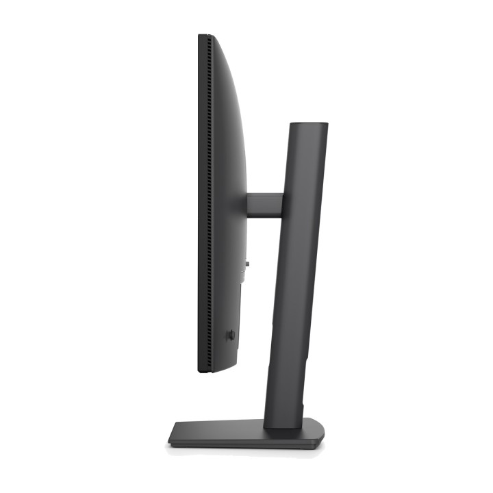 DELL Monitor profesional IPS PRO PLUS P2426 24,1" WUXGA 100198515