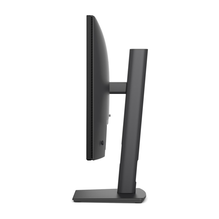 DELL Monitor profesional IPS PRO PLUS P2426H 23,8" FHD 120HZ 100198516