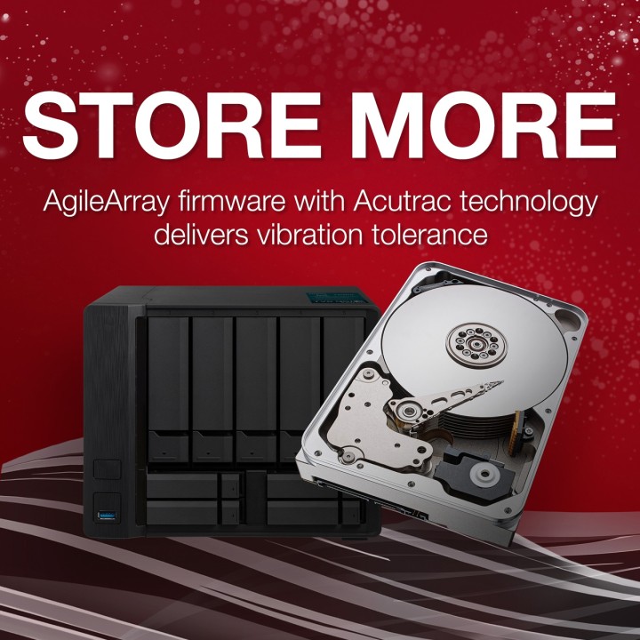 SEAGATE Interne harde schijf van 3,5 inch voor NAS