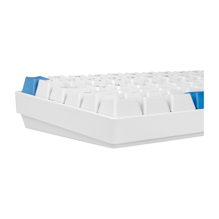 SHARKOON Tastiera meccanica gaming SKILLER-SGK50 S3 PBT