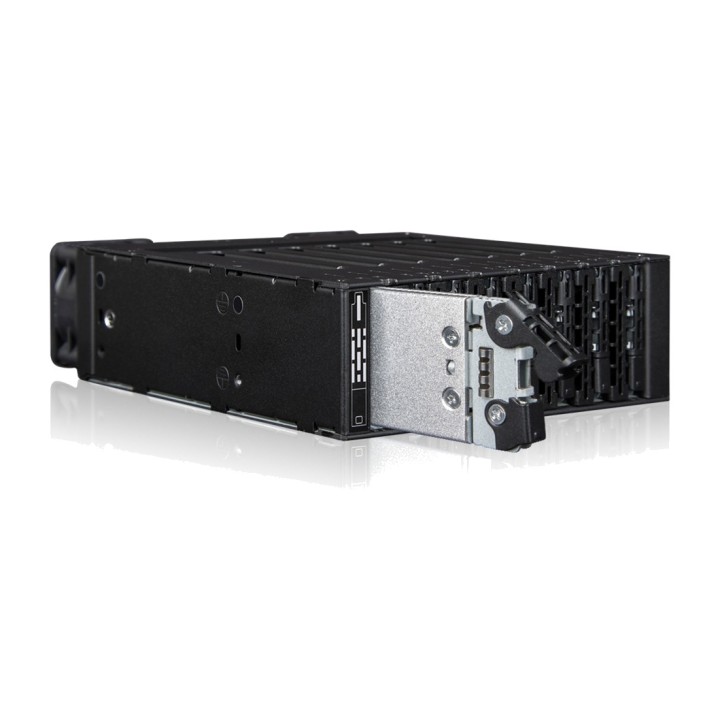 ICY DOCK Herausziehbarer Rack für M.2-NVMe-SSD in einem